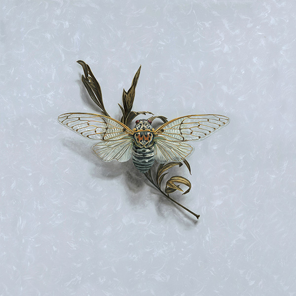 Silky Oak Cicada by Alex Louisa | Lethbridge Gallery